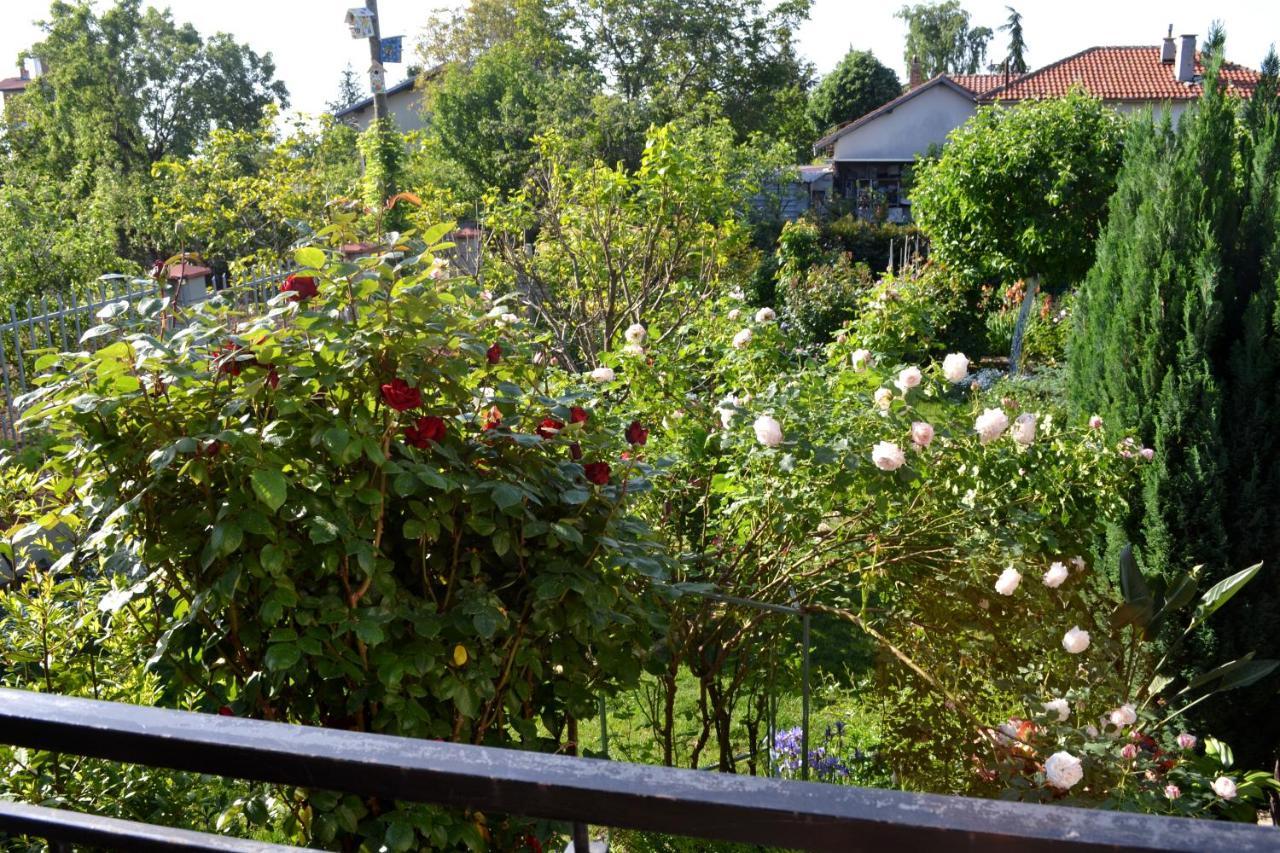 Sea & Garden Villa Varna Extérieur photo