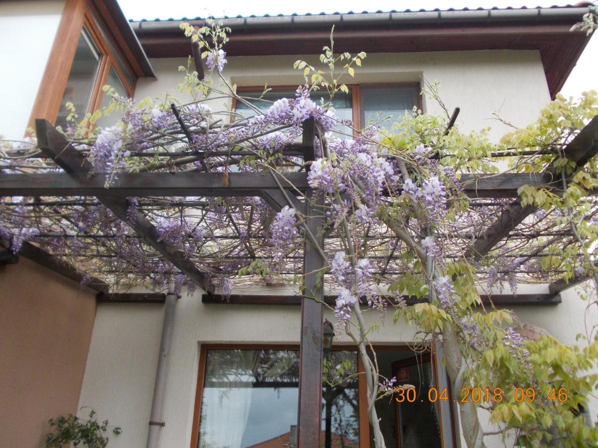 Sea & Garden Villa Varna Extérieur photo